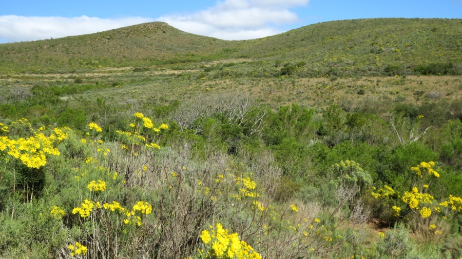 Commercial Property for Sale in Swellendam Rural Western Cape